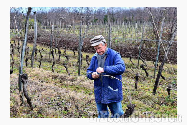 Egidio anni 85 nella sua vigna di Silvano Riboldazzi