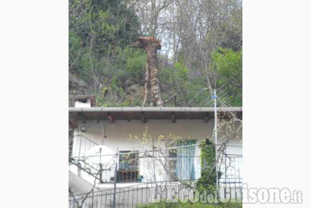 A S. Martino alberi sottosopra di Anna Peraldo