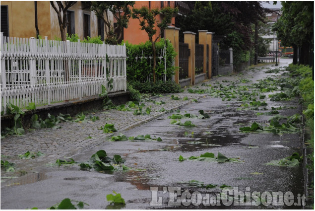 Bagnolo: forti raffiche di vento, gravi danni alle colture, disagi lungo i viali
