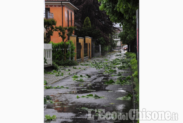 Bagnolo: forti raffiche di vento, gravi danni alle colture, disagi lungo i viali