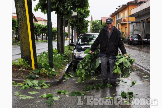 Bagnolo: forti raffiche di vento, gravi danni alle colture, disagi lungo i viali