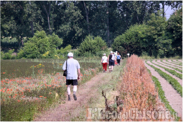 Pancalieri: in 125 alla 1ª Camminerbe