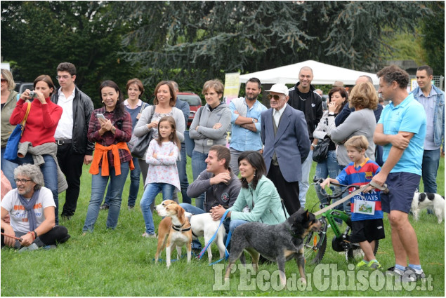 Pinerolo Animal Day