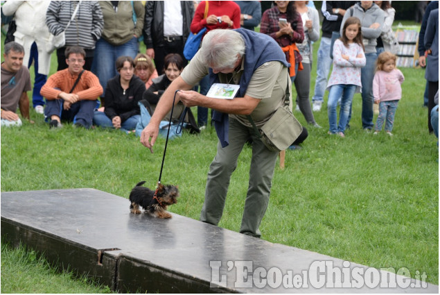 Pinerolo Animal Day