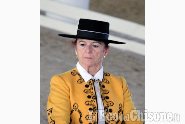 Cavalli spagnoli all&#039;Horsebridge