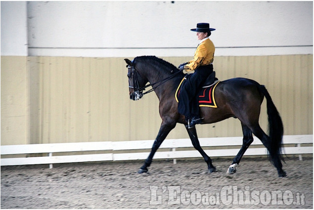 Cavalli spagnoli all&#039;Horsebridge