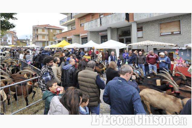 Coazze, Fiera del cevrin