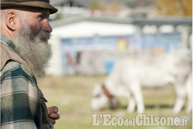 Fiera dei Santi: bel tempo e folla a Luserna San Giovanni