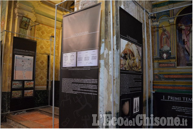 &quot;Cavalli e cavalieri&quot; in mostra a Pinerolo