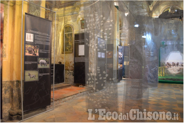 &quot;Cavalli e cavalieri&quot; in mostra a Pinerolo