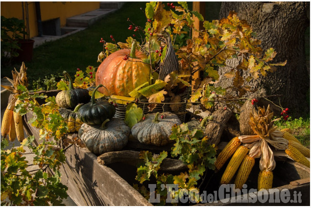 Le foto della settimana dal 29 ottobre al 10 novembre