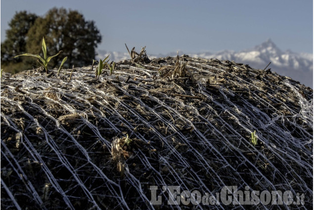 Le foto della settimana dal 29 ottobre al 10 novembre