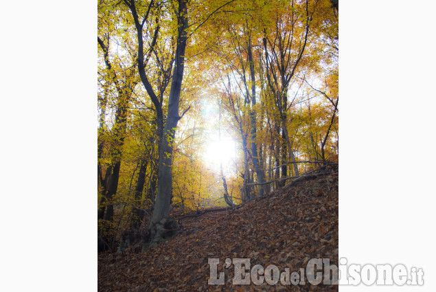 Le foto della settimana dal 29 ottobre al 10 novembre