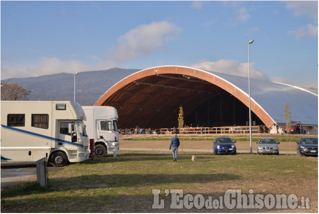 Concorso Ippico a Abbadia