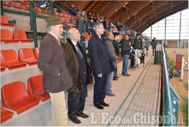 Concorso Ippico a Abbadia