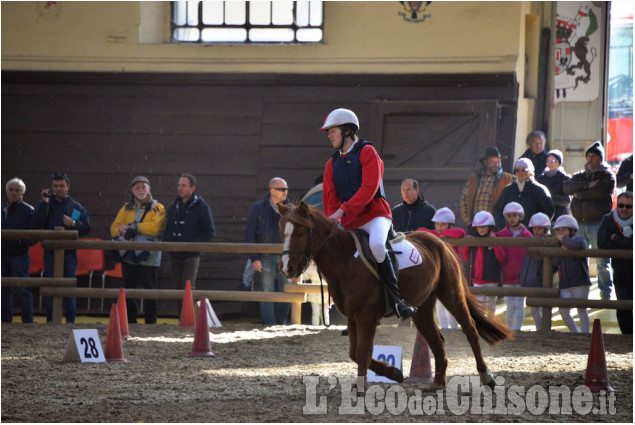 Pinerolo: gara per ponj al Caprilli
