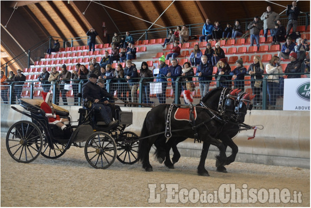 Abbadia: Concorso Ippico