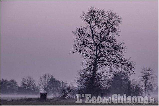 Le foto della settimana dall&#039;11 novembre al 23 dicembre