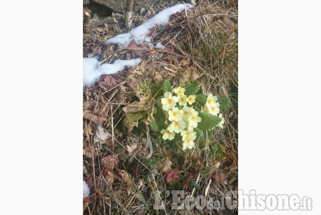 Le foto della settimana dal 24 dicembre 2015 al 4 gennaio 2016