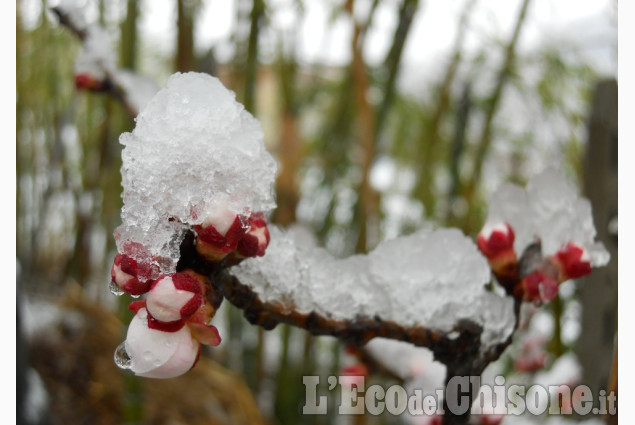 Le foto della settimana dal 2 all&#039;8 marzo  2016