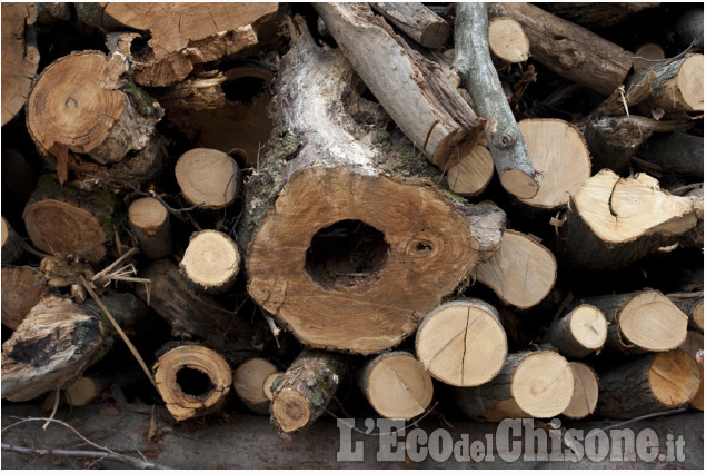 Luserna S.G.: &quot;L&#039;Eco&quot; in visita alla centrale a biomasse
