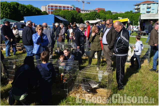 Pinerolo: Fiera di Aprile 