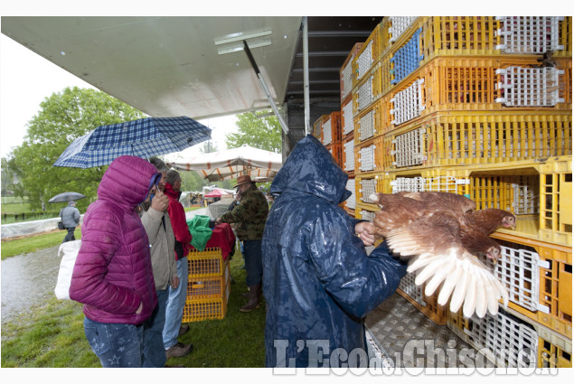 Luserna S.G. Fiera del 1º Maggio