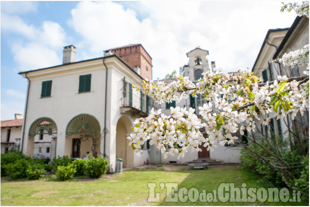 Visite su appuntamento: Palazzotto Juva di Volvera