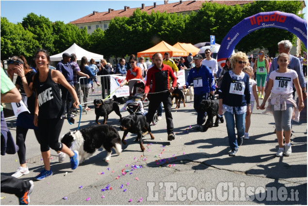 Pinerolo: Maratonina Rotaract