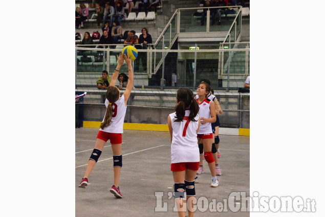 1° Memorial di volley dedicato a Fernando Franchino 1° Memorial di volley dedicato a Fernando Franchino