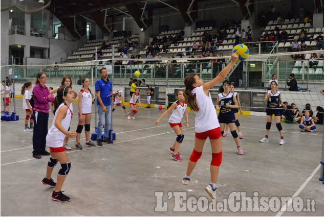 1° Memorial di volley dedicato a Fernando Franchino 1° Memorial di volley dedicato a Fernando Franchino