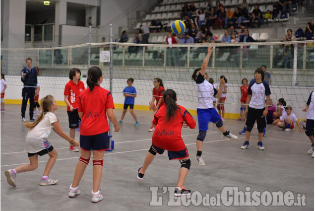 1° Memorial di volley dedicato a Fernando Franchino 1° Memorial di volley dedicato a Fernando Franchino