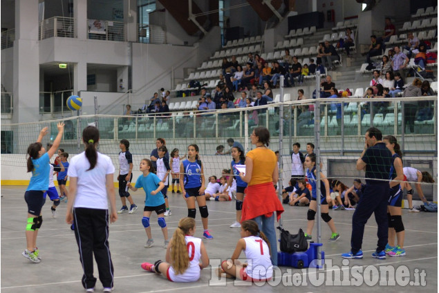 1° Memorial di volley dedicato a Fernando Franchino 1° Memorial di volley dedicato a Fernando Franchino
