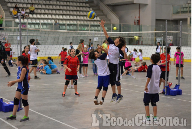 1° Memorial di volley dedicato a Fernando Franchino 1° Memorial di volley dedicato a Fernando Franchino
