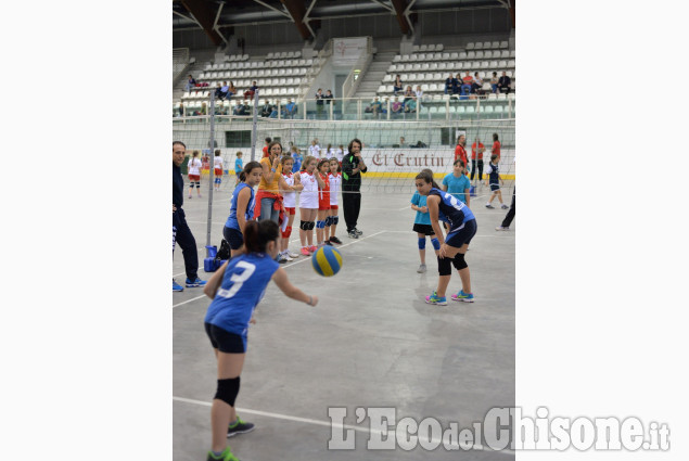 1° Memorial di volley dedicato a Fernando Franchino 1° Memorial di volley dedicato a Fernando Franchino