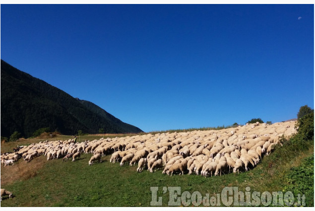 Le foto della settimana da 20 luglio al 23 agosto 2016