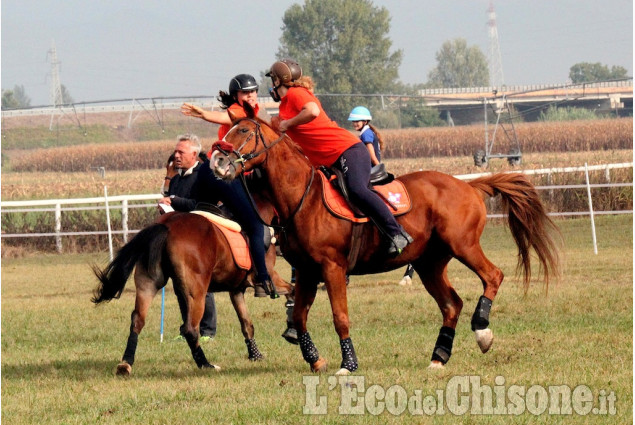 Equitazione: Coppa Europa club &quot;Mounted Games&quot; a None