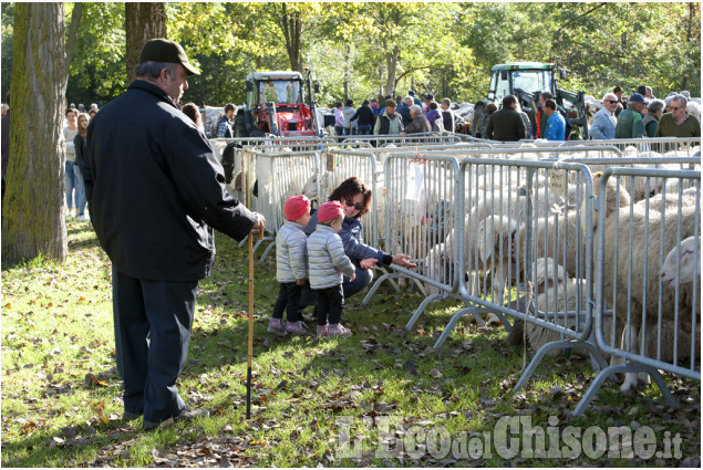 Villar Pellice:Fiera autunnale