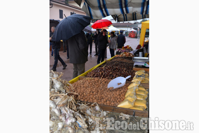 Osasco expo 2016