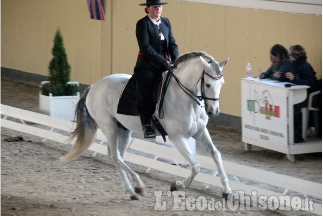 None: 20ª edizione campionato europeo di dressage