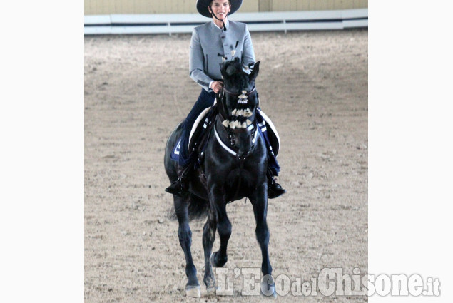 Campionato europeo di dressage all&#039;Horsebridge di None