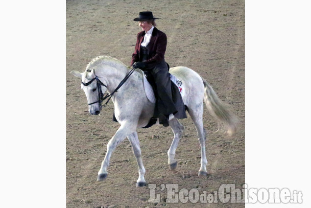 Campionato europeo di dressage all&#039;Horsebridge di None