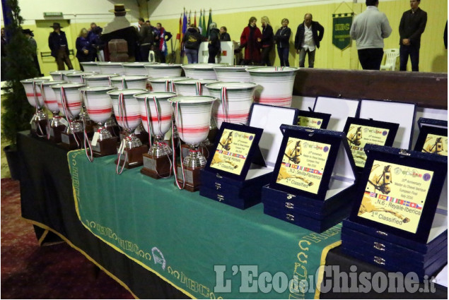 Campionato europeo di dressage all&#039;Horsebridge di None