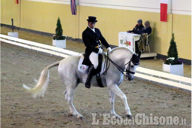 Campionato europeo di dressage all&#039;Horsebridge di None