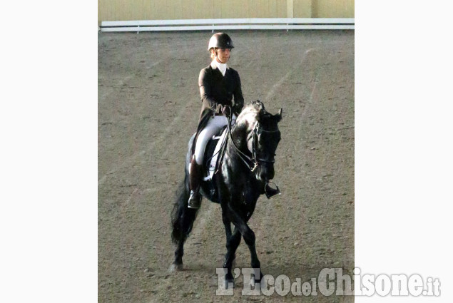 Campionato europeo di dressage all&#039;Horsebridge di None