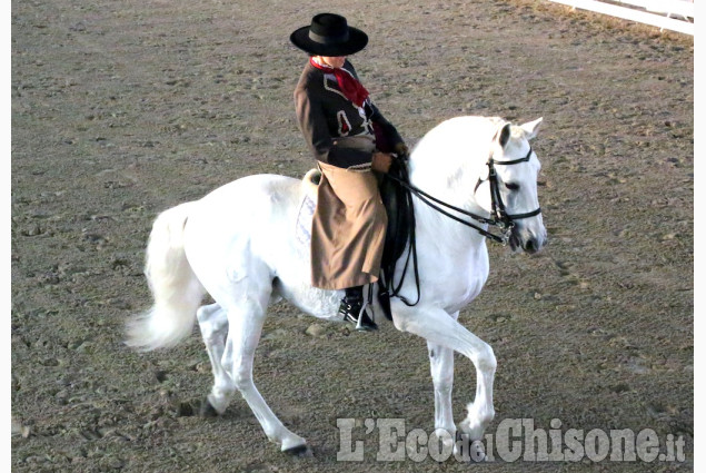 Campionato europeo di dressage all&#039;Horsebridge di None