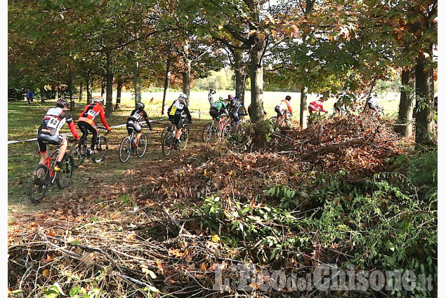 Bruino: ciclocross
