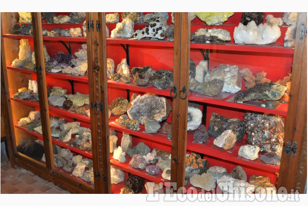 Pinerolo: Mostra al Museo didattico di scienze naturali
