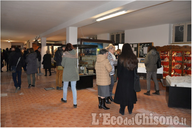 Pinerolo: Mostra al Museo didattico di scienze naturali