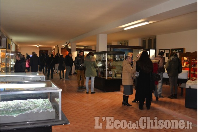 Pinerolo: Mostra al Museo didattico di scienze naturali